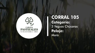 Lote YEGUA