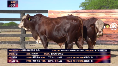 Lote DEL DUERO SA  LOTE 63