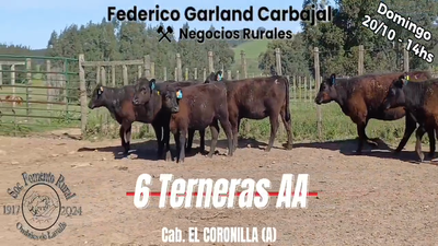 Lote 6 Hembras ANGUS en OMBUES DE LAVALLE