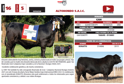 Lote LOTE 16