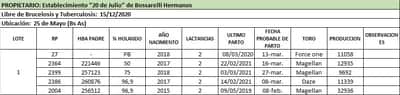 Lote Lote 1