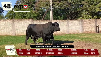 Lote LOTE 48
