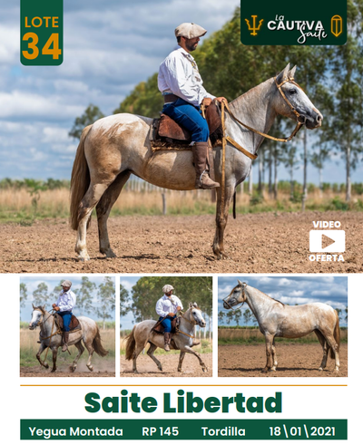 Lote LOTE 34