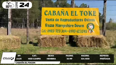 Lote LOTE 24- CAMPO