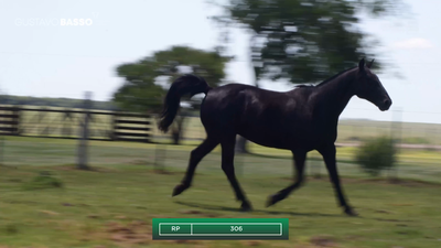 Lote Macho de Andar, Cerro Largo