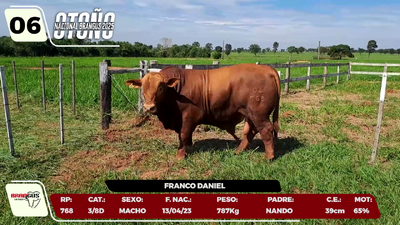 Lote LOTE 6