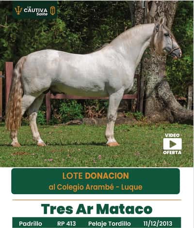 Lote LOTE  DONACION