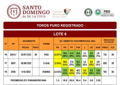 Lote TOROS PR (LOTES)