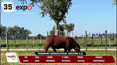 Lote LOTE 35