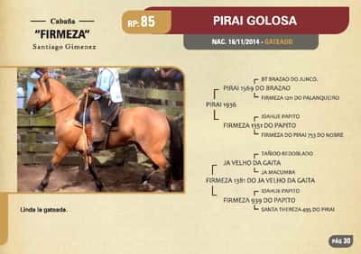 Lote RP. 85 - PIRAI GOLOSA - FIRMEZA