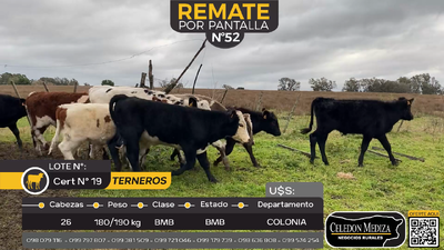 Lote 26 Terneras en La Horqueta, Colonia