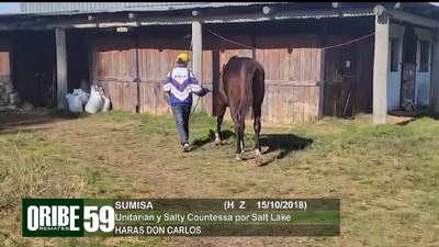 Lote Lote 59