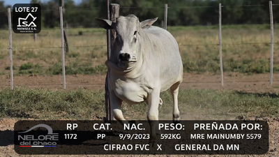 Lote LOTE 27