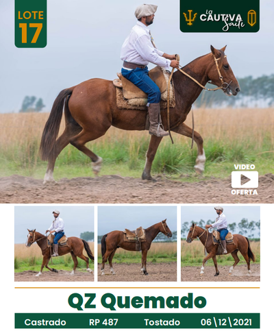 Lote LOTE 17