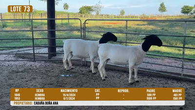 Lote LOTE 73- DESTACADO