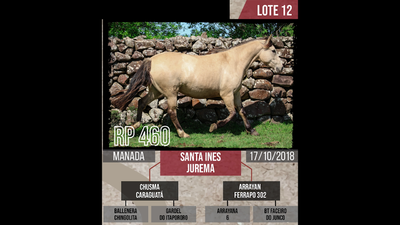 Lote SANTA INES  JUREMA