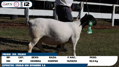 Lote LOTE 12