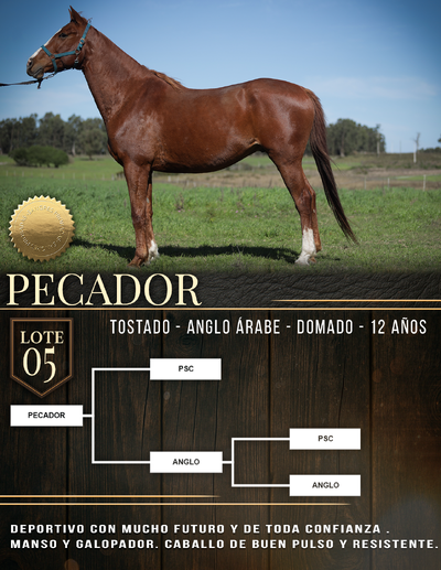  PECADOR