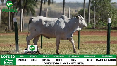 Lote Lote 30