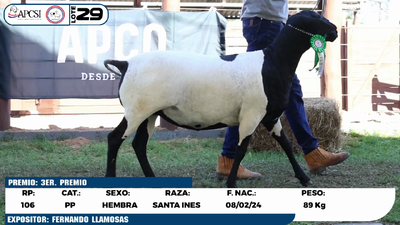 Lote LOTE 29