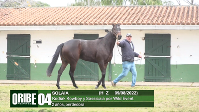 Lote Lote 4