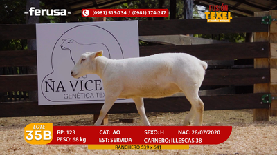 Lote Lote 35B
