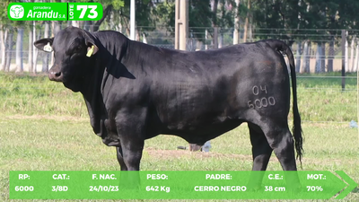 Lote LOTE 73