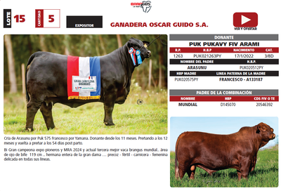Lote LOTE 15