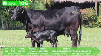 Lote LOTE 6