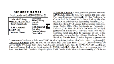 Lote SIEMPRE SAMPA