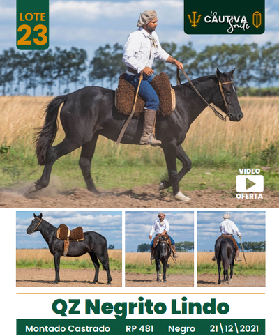 Lote LOTE 23