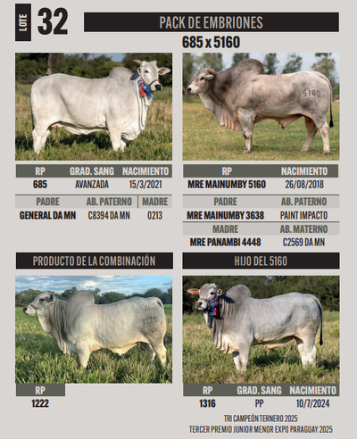 Lote LOTE 32