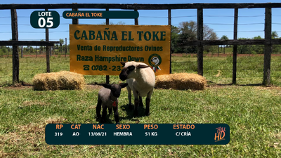 Lote LOTE 5