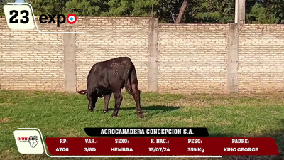 Lote LOTE 23