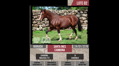 Lote SANTA INES  CAMBONA