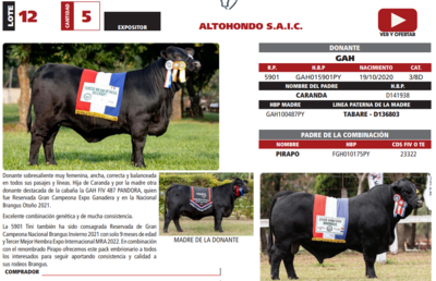 Lote LOTE 12