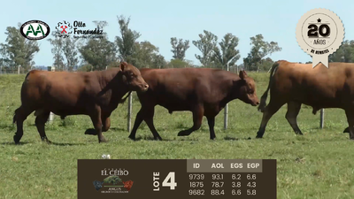 Lote 3 Toros, Artigas