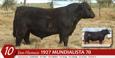 Lote MACHO PP