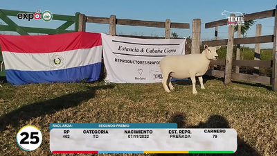 Lote LOTE 25