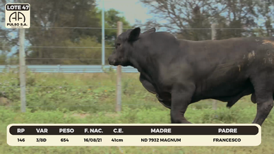 Lote LOTE 47