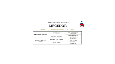 Lote MECEDOR (MASTER OF HOUNDS -  HONOUR AND GLORY)