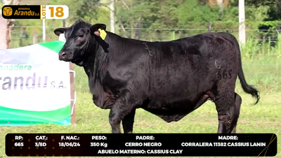 Lote LOTE 18