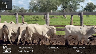 Lote LOTE 5