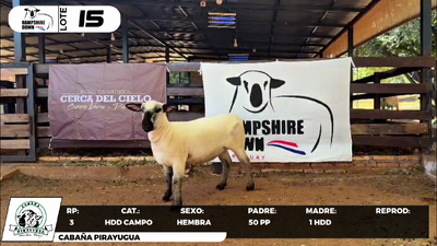 Lote LOTE 15- CAMPO