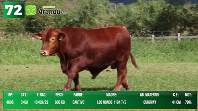 Lote LOTE 72