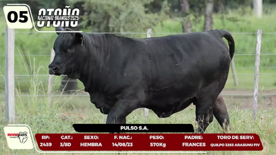 Lote LOTE 5