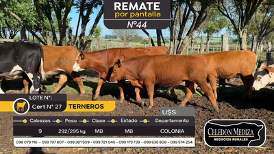 Lote 9 Terneros en Otra Localidad, Colonia