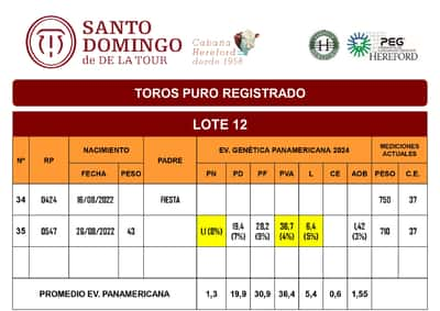 Lote TOROS PR (LOTES) - PR