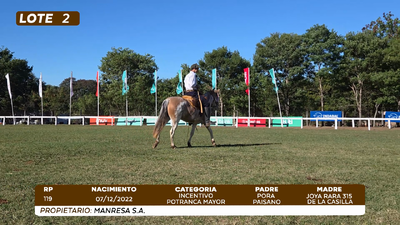 Lote LOTE 2
