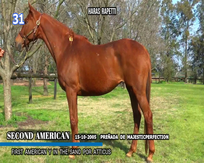 Lote SECOND AMERICAN